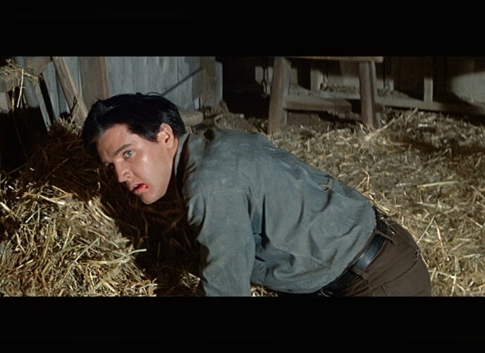 Wild In The Country (1961)