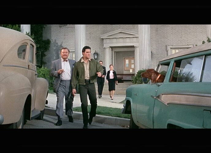 Wild In The Country (1961)