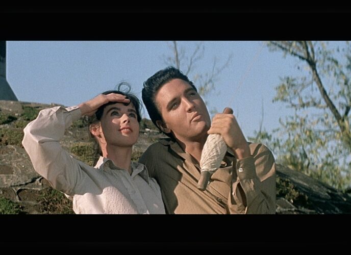 Wild In The Country (1961)