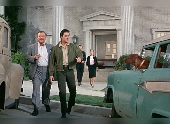 Wild In The Country (1961)