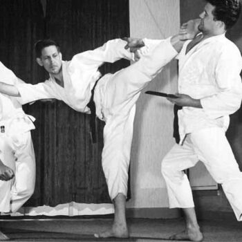 Juergen Seydel - Elvis Karate Germany