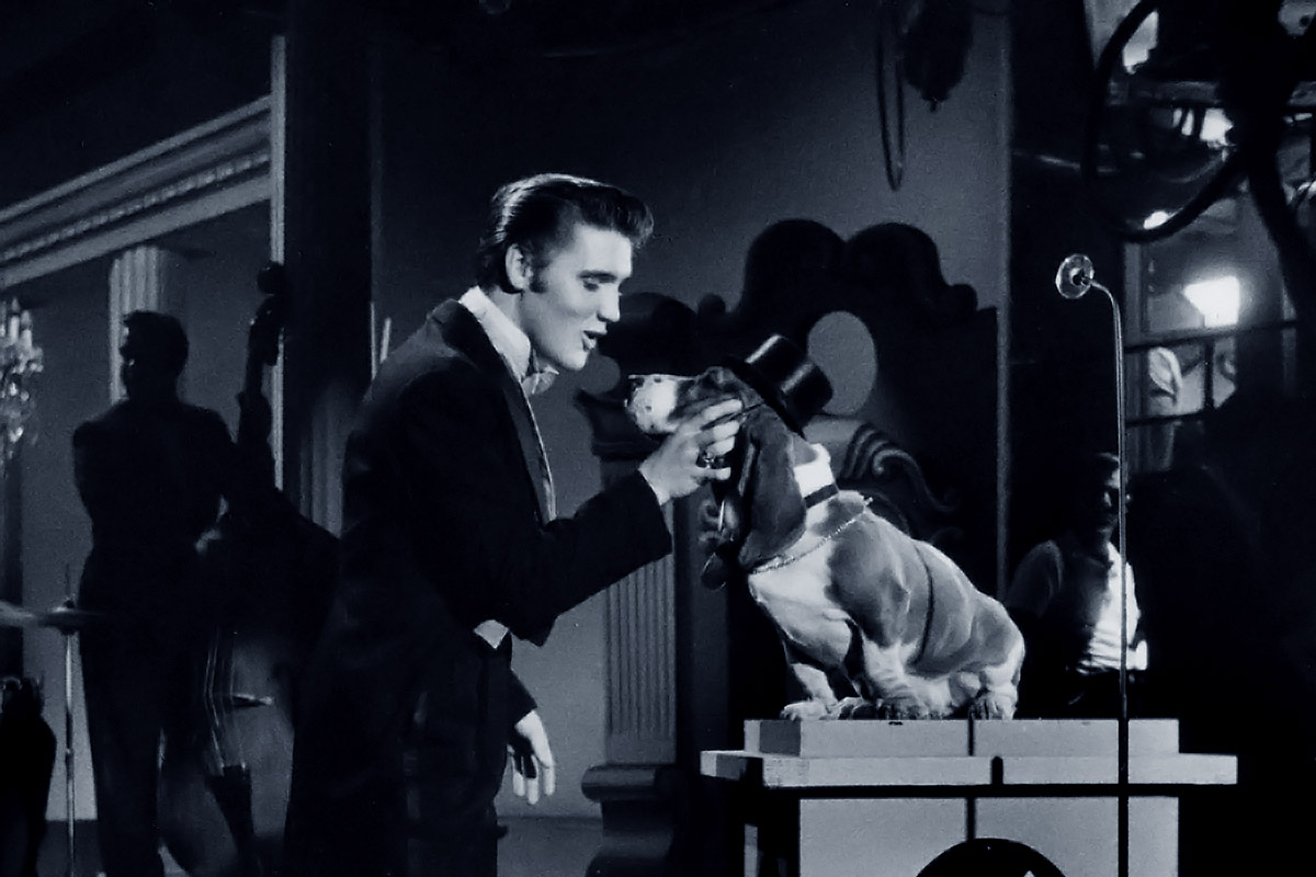 Elvis singt Hound Dog zu Basset Sherman