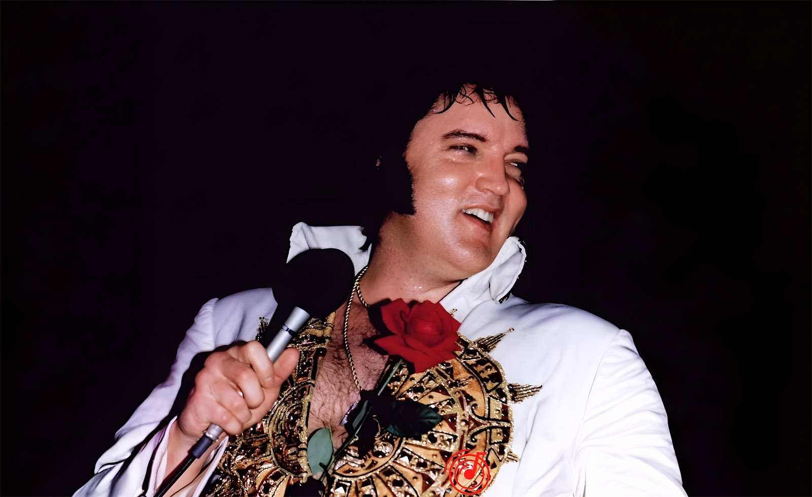 Das letzte Elvis Presley Konzert - 26. Juni 1977