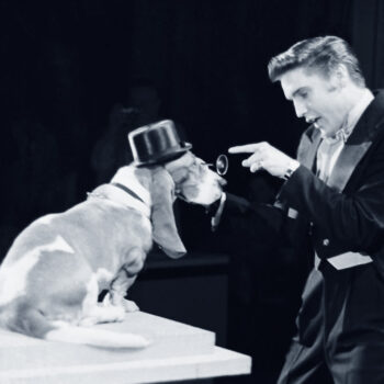Elvis Presley in der Steve Allen Show 1956