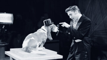 Elvis Presley in der Steve Allen Show 1956