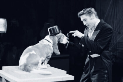 Elvis Presley in der Steve Allen Show 1956