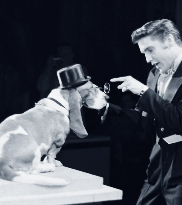 Elvis Presley in der Steve Allen Show 1956
