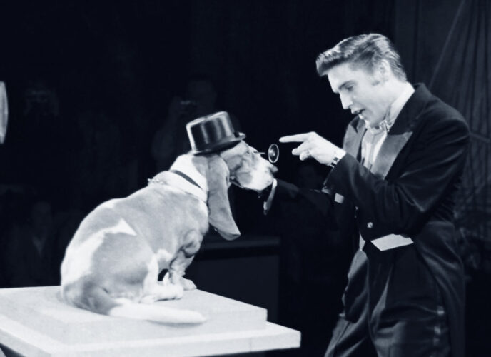 Elvis Presley in der Steve Allen Show 1956