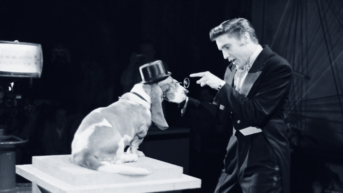 Elvis Presley in der Steve Allen Show 1956